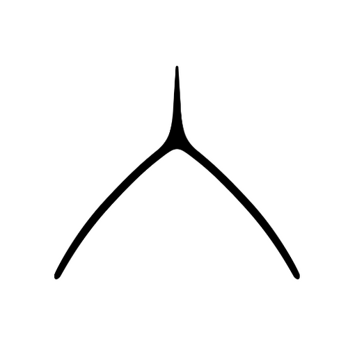 Choi